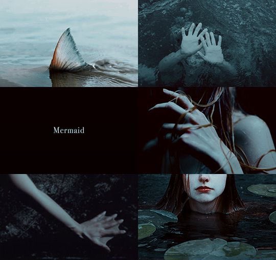 FireShadowHero's tweet image. 