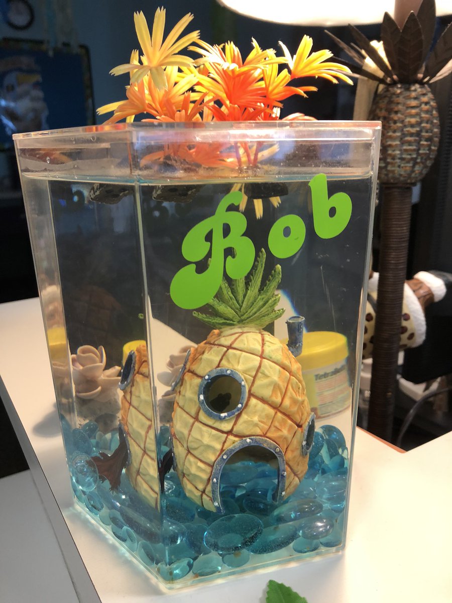 I finally brought Bob the Library Fish back to school today. I think it’s so cute how students got excited to see him during book check in and check out. They missed him!! ♥️ <a href="/LauraRu71226128/">Laura Ruiz</a>  @TCEpirates #LibraryLove #BobTheFish