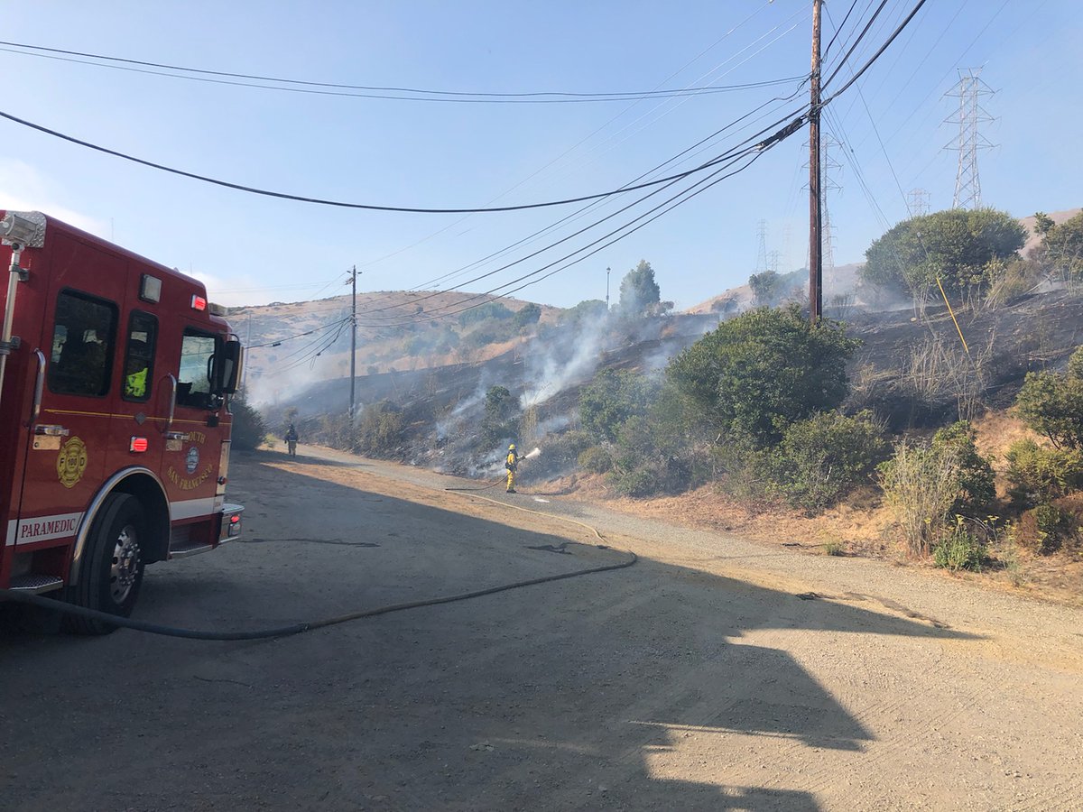 Brisbane Police Department tweet media