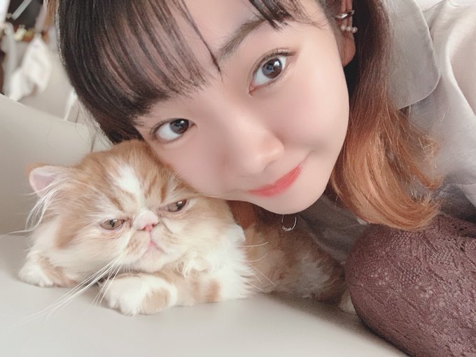 澤田真里愛さん の最近のツイート 17 Whotwi グラフィカルtwitter分析