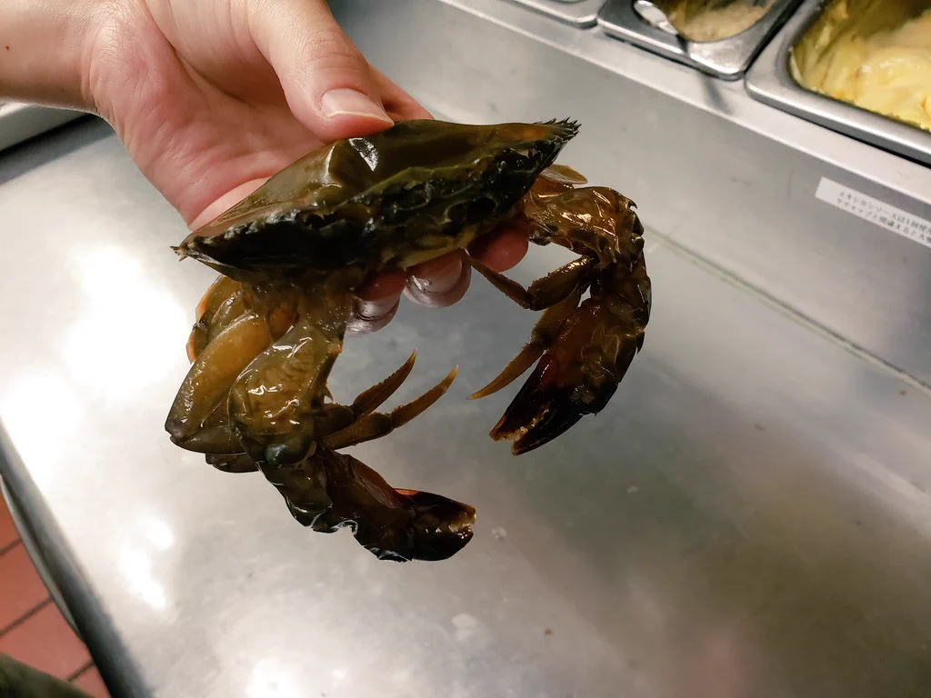 【期間限定】全国のドムドムハンバーガーにて、丸ごと!!カニバーガーが登場！