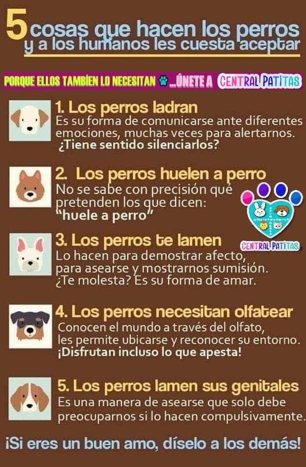 Que opinan... será cierto?
#CentralPatitas #AyudanosAAyudar