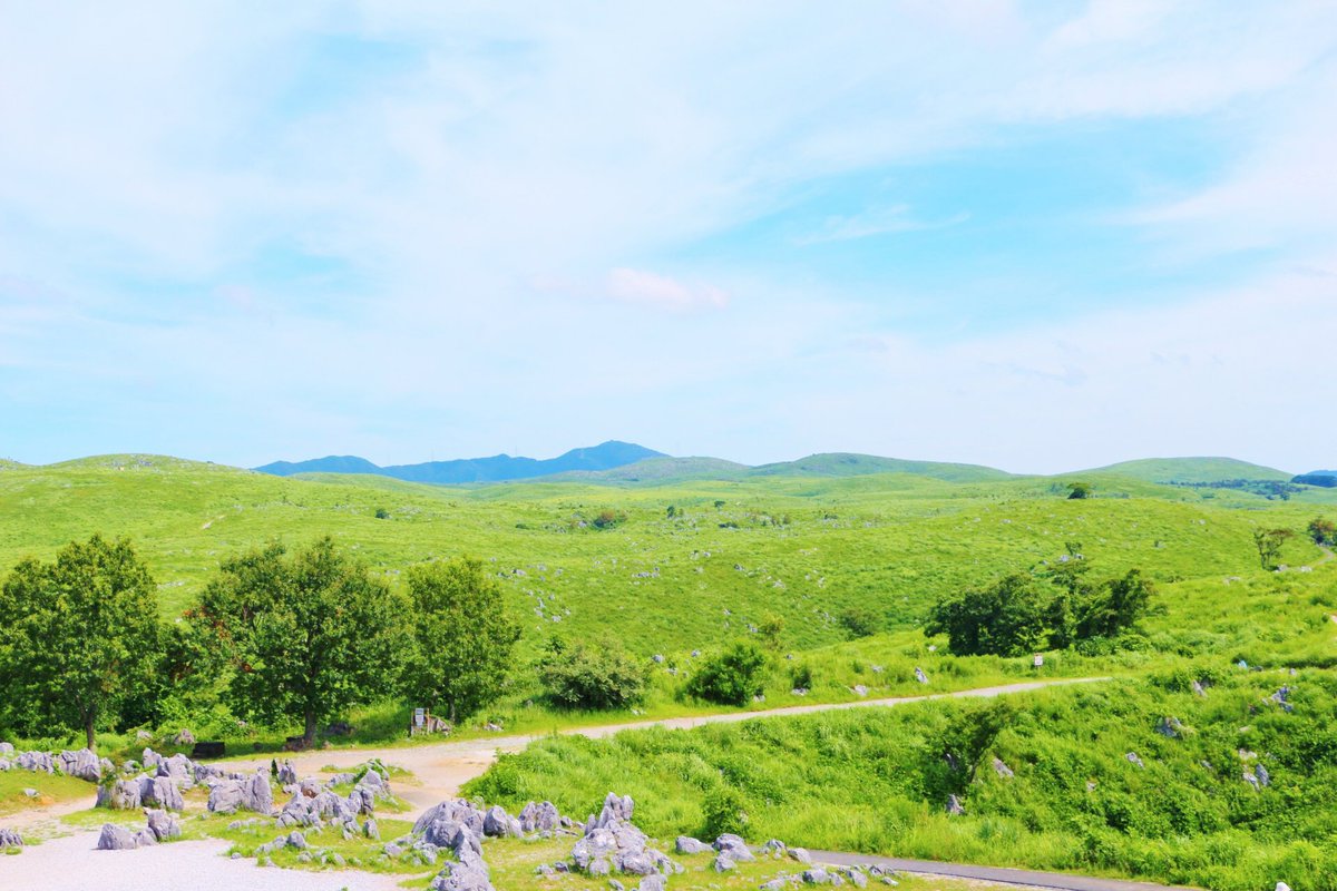 IPlus365's tweet photo. This place is Akiyoshidai in Yamaguchi Prefecture.  The hills stretch out as far as the eye can see in the magnificent nature, perfect for hiking and driving.  You can enjoy a wonderful view of the blue sky, limestone and green grasslands.
#akiyoshidai 
#bluesky
#hiking 
#driving https://t.co/JbpZqDOFQM