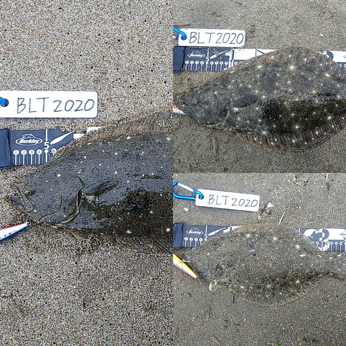 kozy S·D·A tweet media