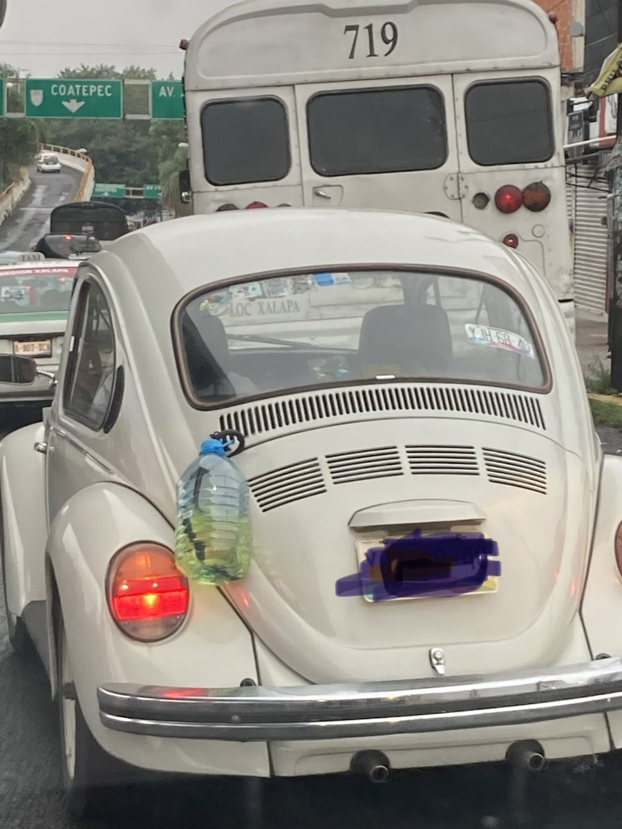 Vocho con riñón de fuera.