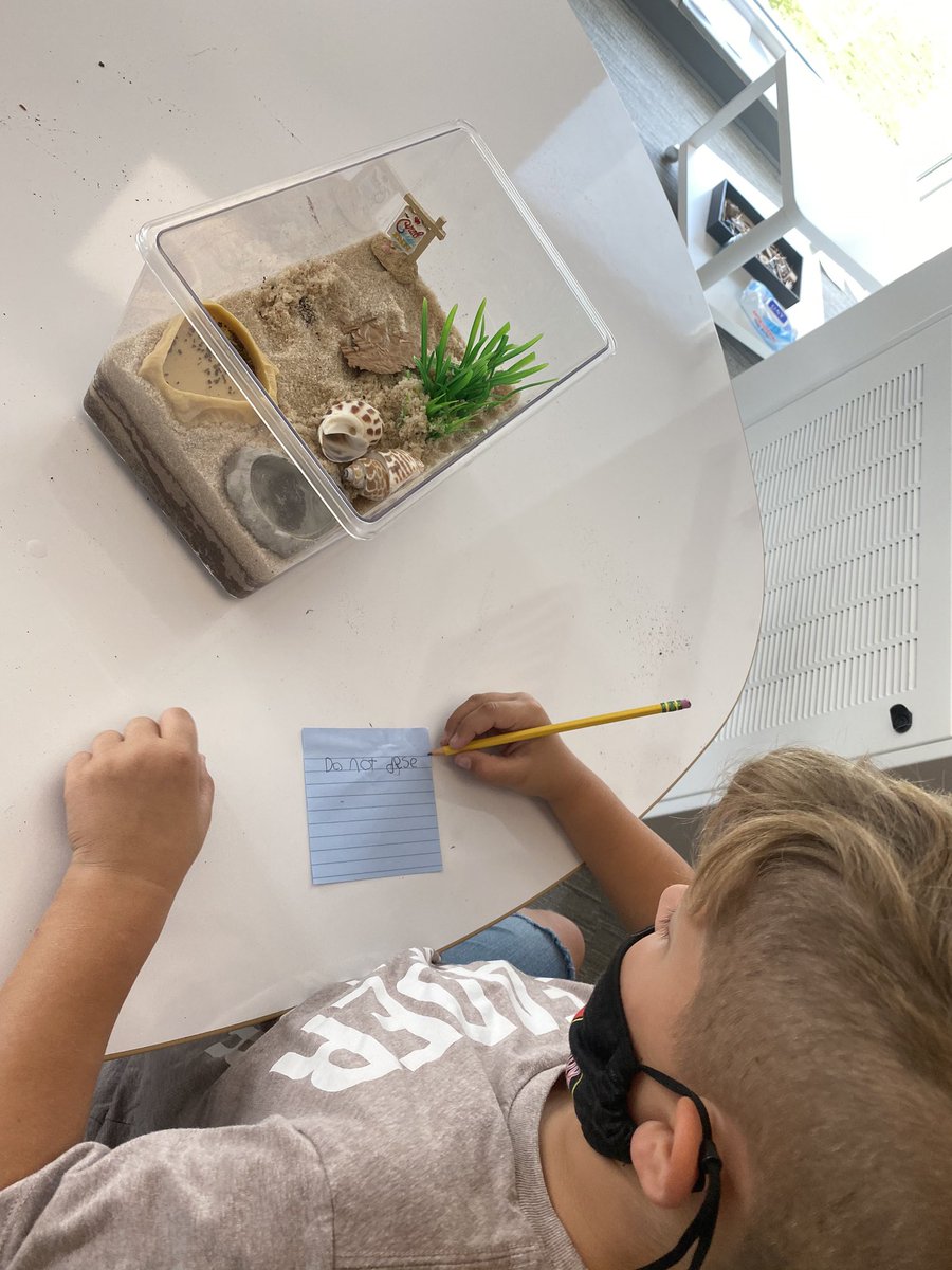 MissStein6's tweet photo. When you figure out one of your hermit crabs is molting you research.... and you find out that to keep it safe it needs to be in a seperate space! Inspired, designed, and created with these kiddos voice and choice during soft start this morning! @SoutheasternEl1 @DanielleChas1 https://t.co/0iybvsOB9c