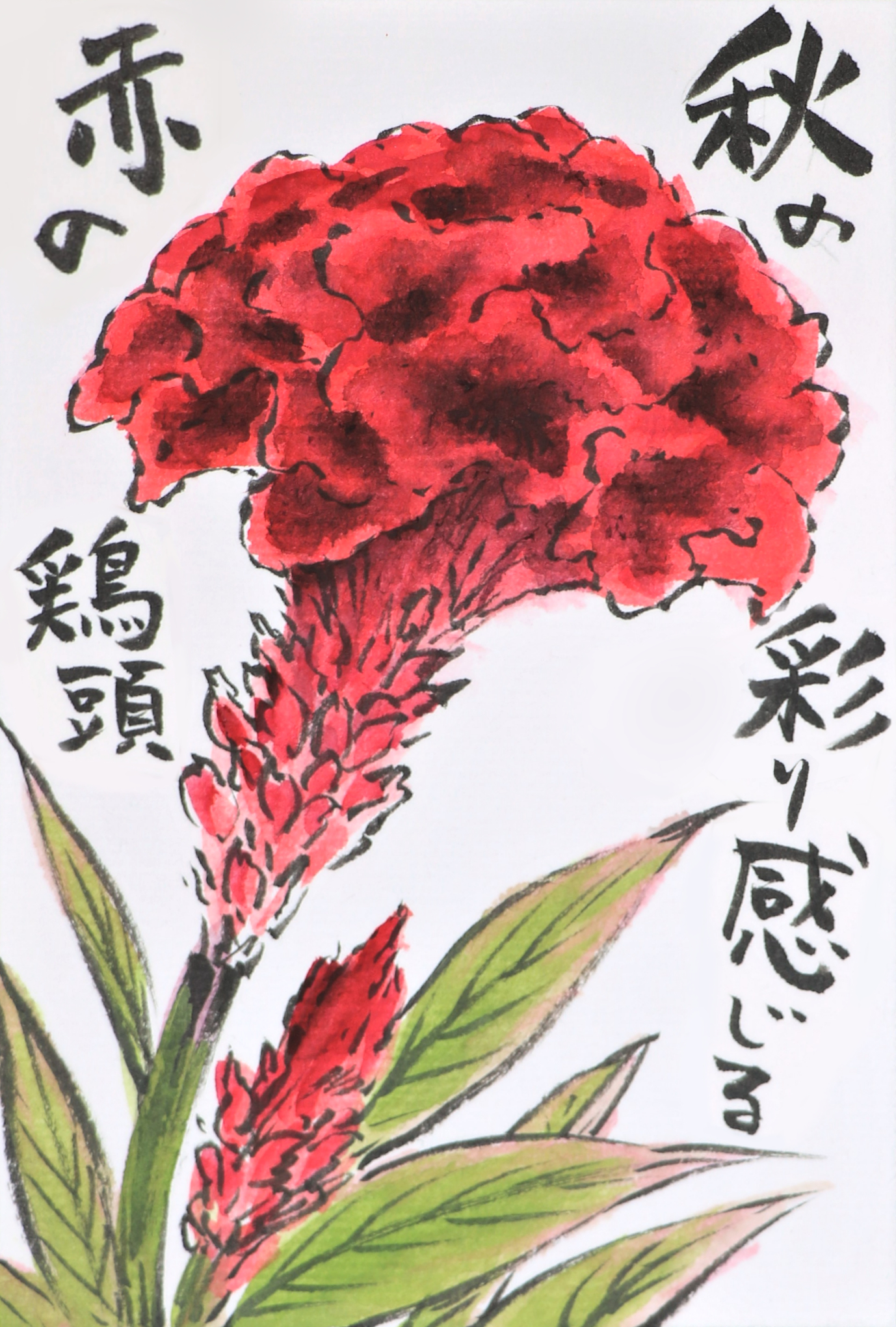 快適art絵手紙 最近よく見る秋らしい色の花たちの絵手紙 Youtubeの描き方解説動画 キバナコスモス T Co Z8ybql6yzc ケイトウ T Co Xd4tpiezqs 快適絵手紙 イラスト T Co 7ewjzfxe7r Twitter