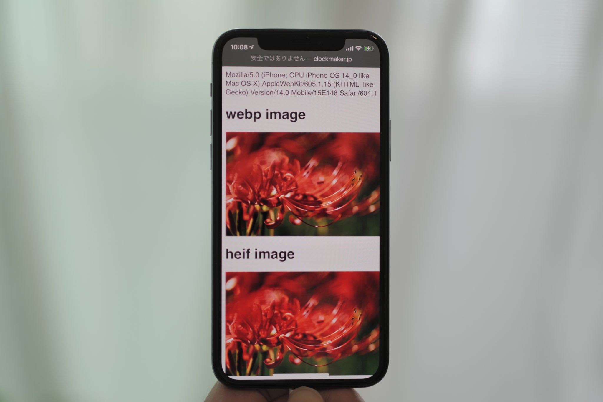 池田 泰延 on Twitter: "朗報。 正式公開されたiOS 14のSafariで、webp画像を表示できました。 #HTML #CSS #WebP https://t.co/vwcdAVDfuB" / Twitter 池田 泰延 on Twitter: "朗報。 正式公開されたiOS 14のSafariで、webp画像を表示できました。 #HTML #CSS #WebP https://t.co/vwcdAVDfuB" / Twitter