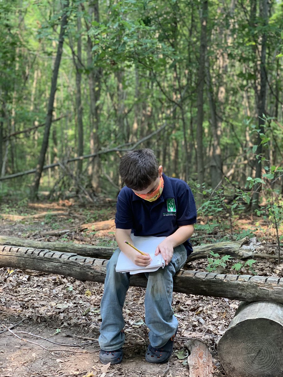 WMAES's tweet photo. Today students focused on sketching their observations in the ecosystems @WMAES.  There are some amazing artists out there and learning opportunities that a desk doesn’t offer#envirokid#notallclassroomshavefourwalls#learnfromnature https://t.co/6IDl1jP4PY