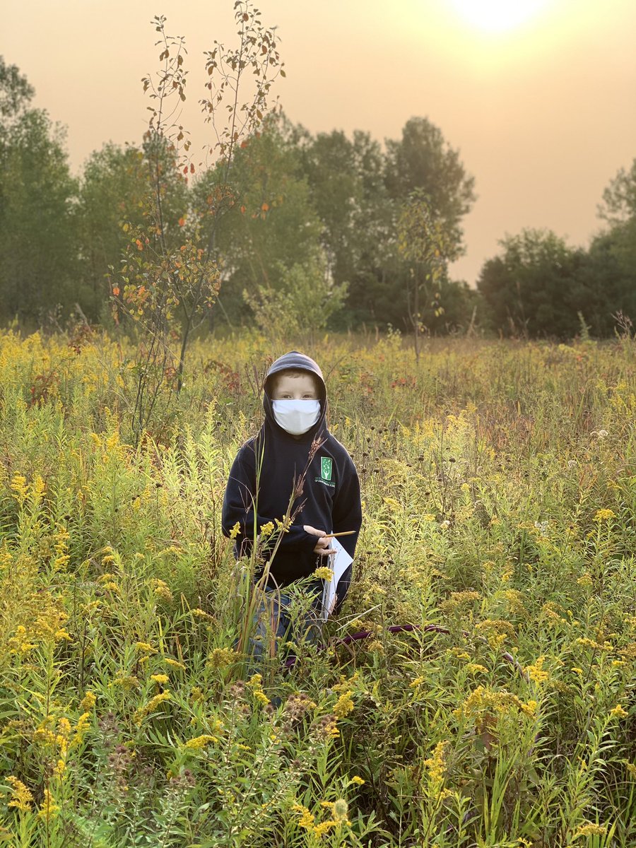 WMAES's tweet photo. Today students focused on sketching their observations in the ecosystems @WMAES.  There are some amazing artists out there and learning opportunities that a desk doesn’t offer#envirokid#notallclassroomshavefourwalls#learnfromnature https://t.co/6IDl1jP4PY