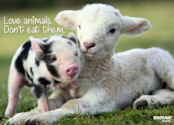 BooyahMom's tweet photo. I love animals! I donโt eat them!
#loveanimals #vegan #crueltyfree #compassionatelife https://t.co/cME6s113OZ