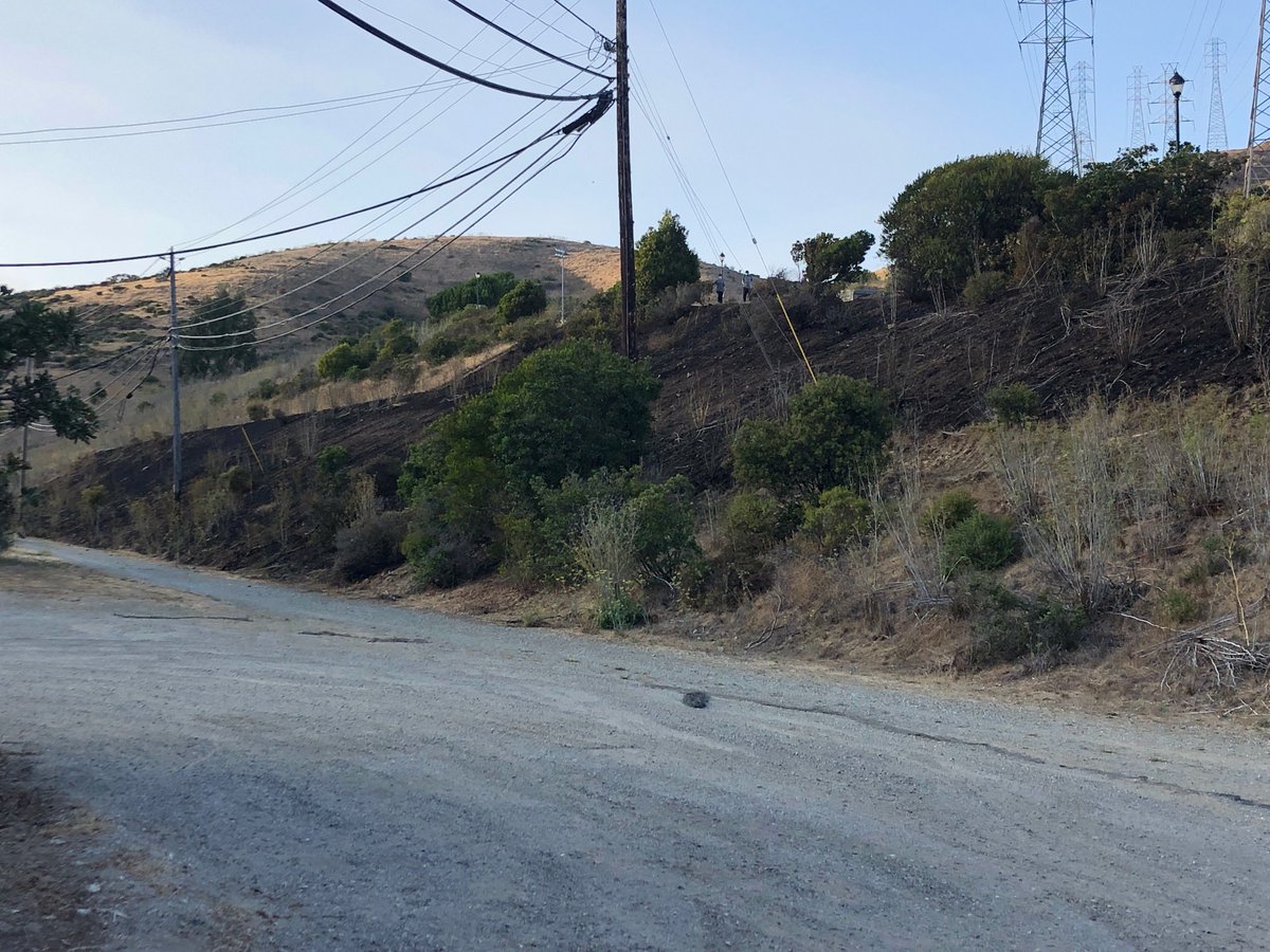 Brisbane Police Department tweet media