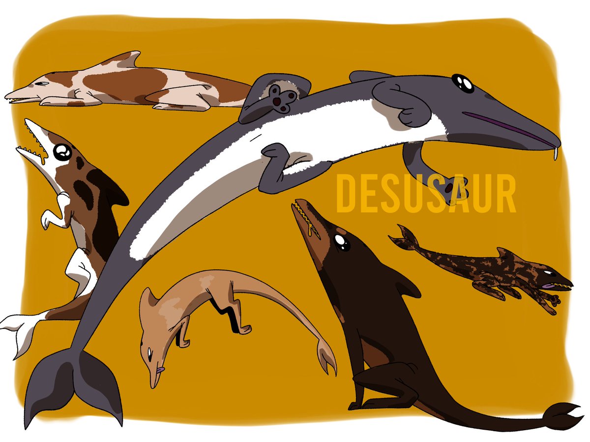 You’ve heard of shark cat..... Now get ready for dolphin dog