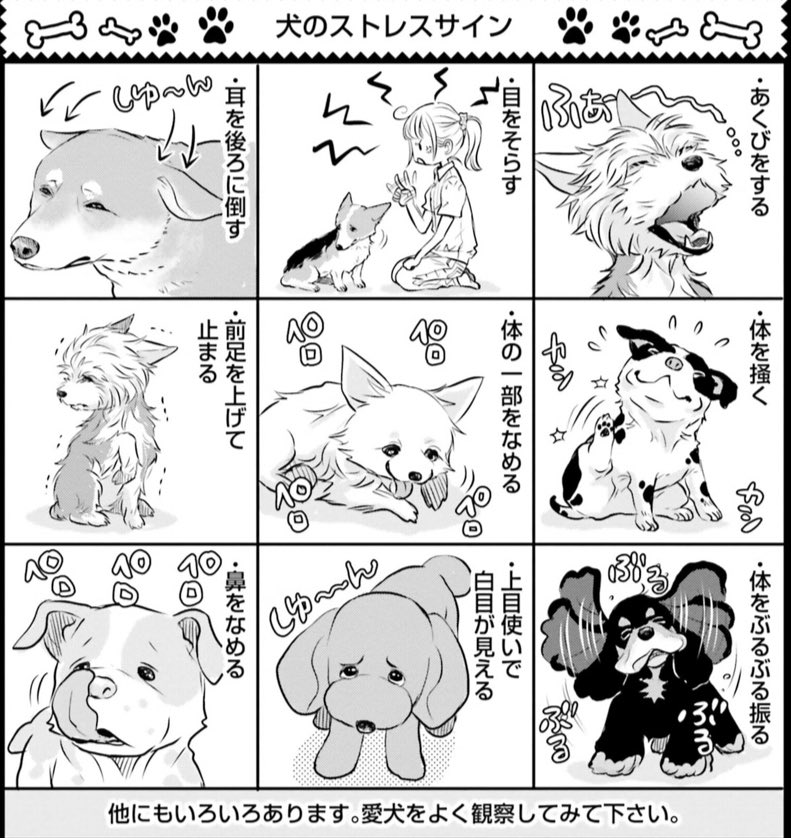 さらにもう一冊買った分‼️

DOG SIGNALに投票しました!|WebマンガNo.1を決定!!WEBマンガ総選挙2020 https://t.co/NC5ZZt6ad1 #WEBマンガ総選挙
#DOGSIGNAL 

サムネでないから漫画のコマ貼ります。
リンク先で試し読みもできるよ!気になったら読んでー 