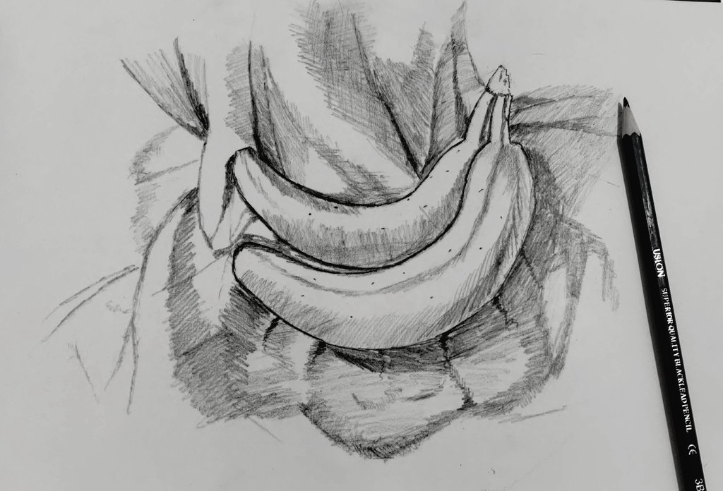 MonikaAgarwal23's tweet photo. Everything is so beautiful and so short.
#sketch #bananasketch #pencilsketch https://t.co/0WmYh9q2mN