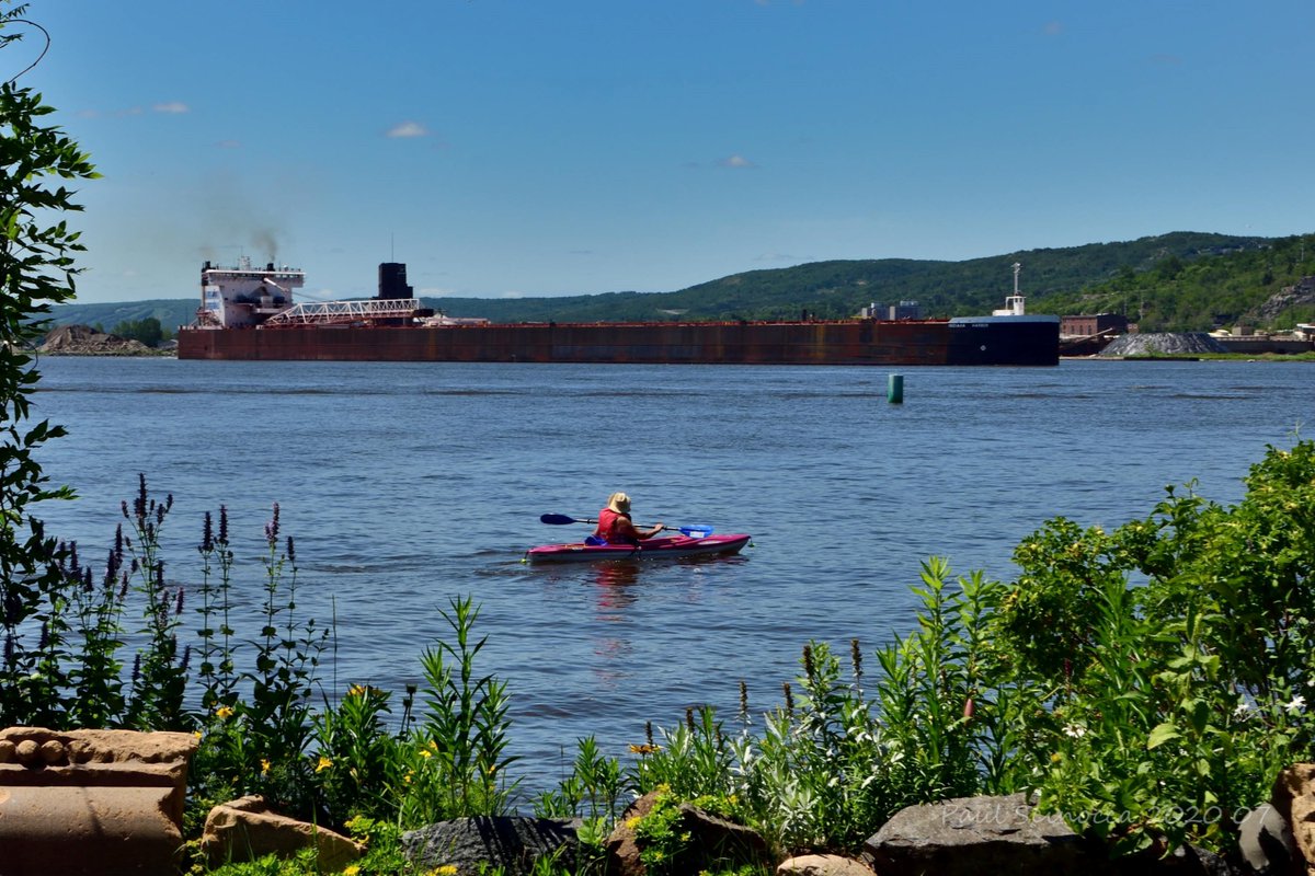 DuluthShips's tweet photo. Under the watchful eye of a kayak, the Indiana Harbor departs Duluth with iron ore July 18
#shipping #shipsinpics 
#Duluthships https://t.co/61ItYGngDJ