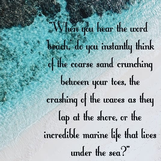 Scriblerus Journal tweet media