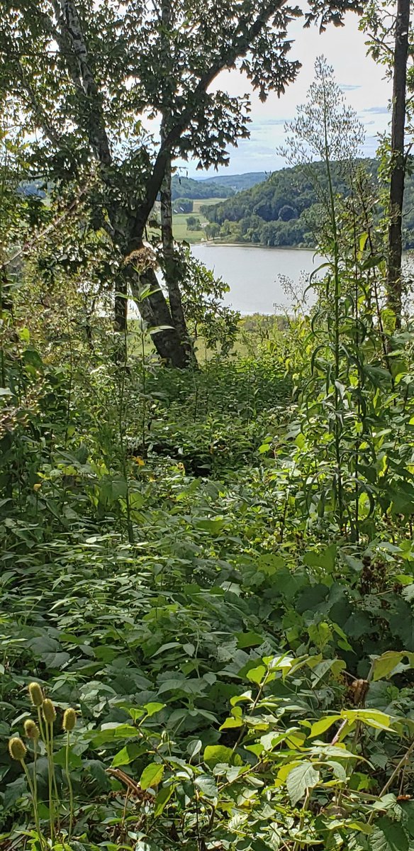 damini_dhawal's tweet photo. Enjoying fall weather and hiking! We have been there few times, but find a new view or hidden spot everytime we go there. Just like life...find a new perspective! Took parents for a picnic there. #WisconsinParks #NewNormal #hiking #Mindfulness #SocialDistancing #hiking #lovefall https://t.co/Kc2p4k7HCK