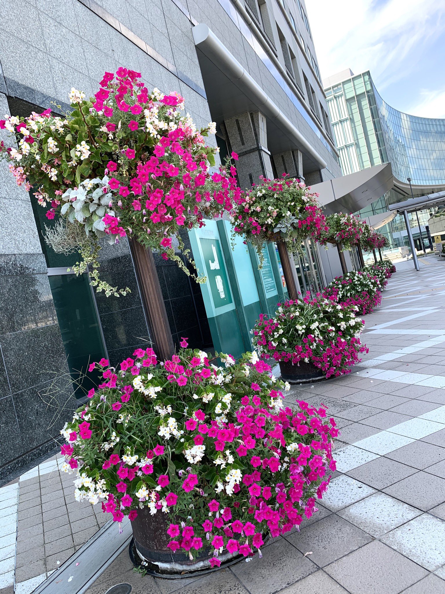 ベアレン醸造所 花の街として有名なカナダ ビクトリア市 その文化を取り入れたハンギングバスケットが盛岡の市街地に見られます 盛岡のビクトリアな風景 9月26日は勝手に35周年祝う会 T Co 7irlouefwk Twitter ベアレン醸造所 花の街として有名なカナダ ビクトリア市 その文化を取り入れたハンギングバスケットが盛岡の市街地に見られます 盛岡のビクトリアな風景 9月26日は勝手に35周年祝う会 T Co 7irlouefwk Twitter