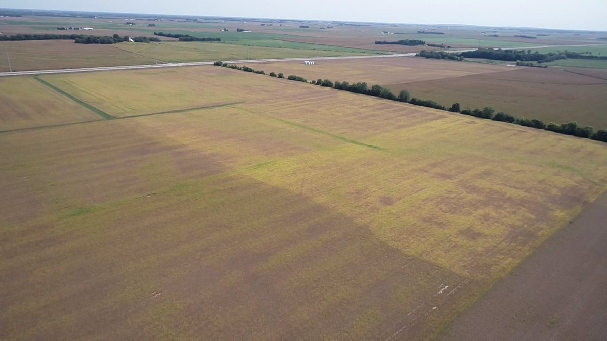 Tim Walsh tweet media