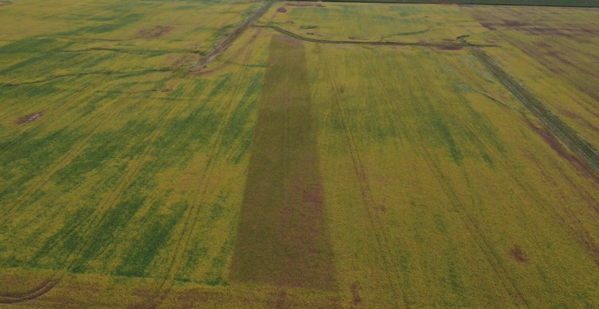 Tim Walsh tweet media