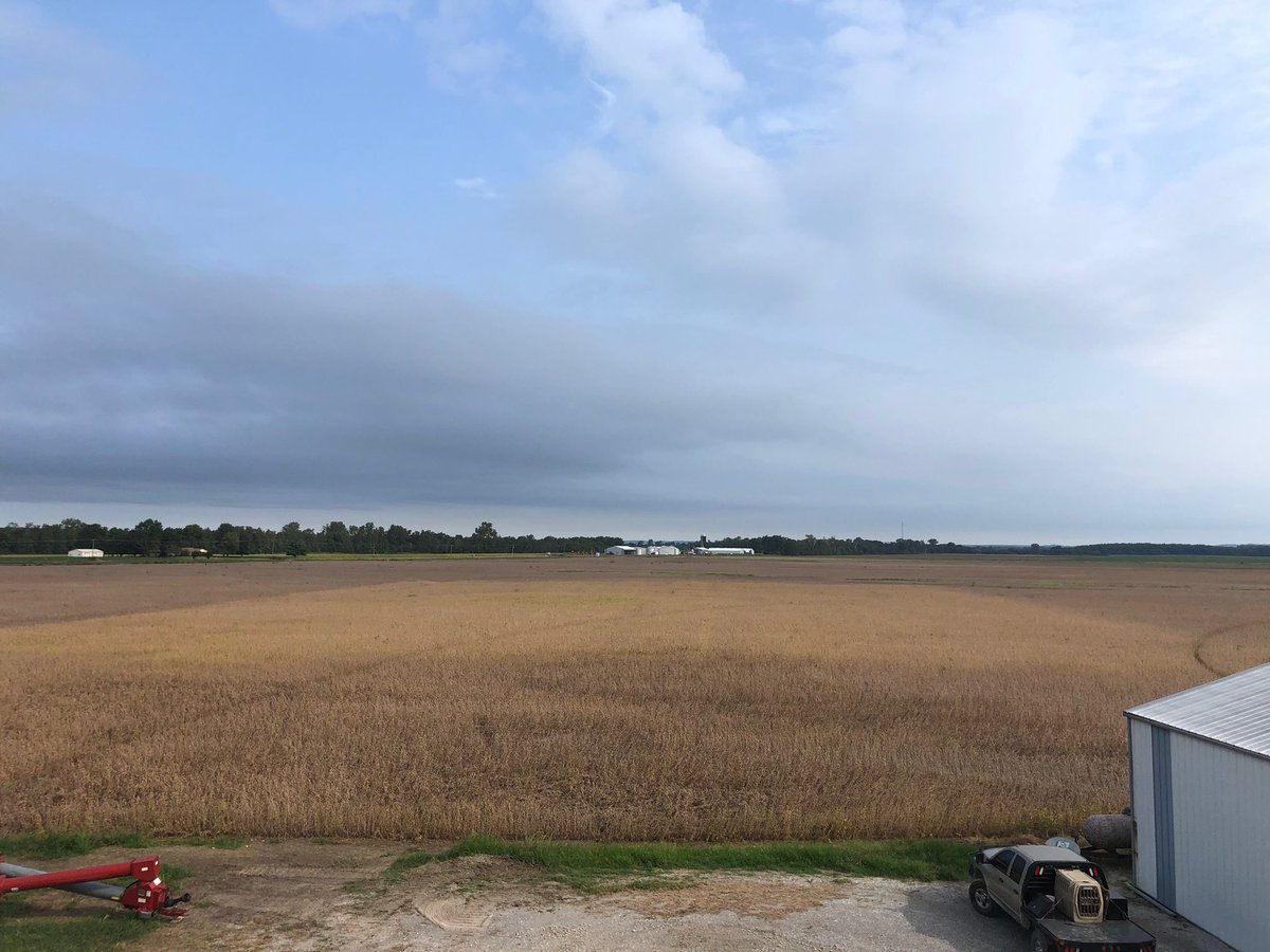 Tim Walsh tweet media