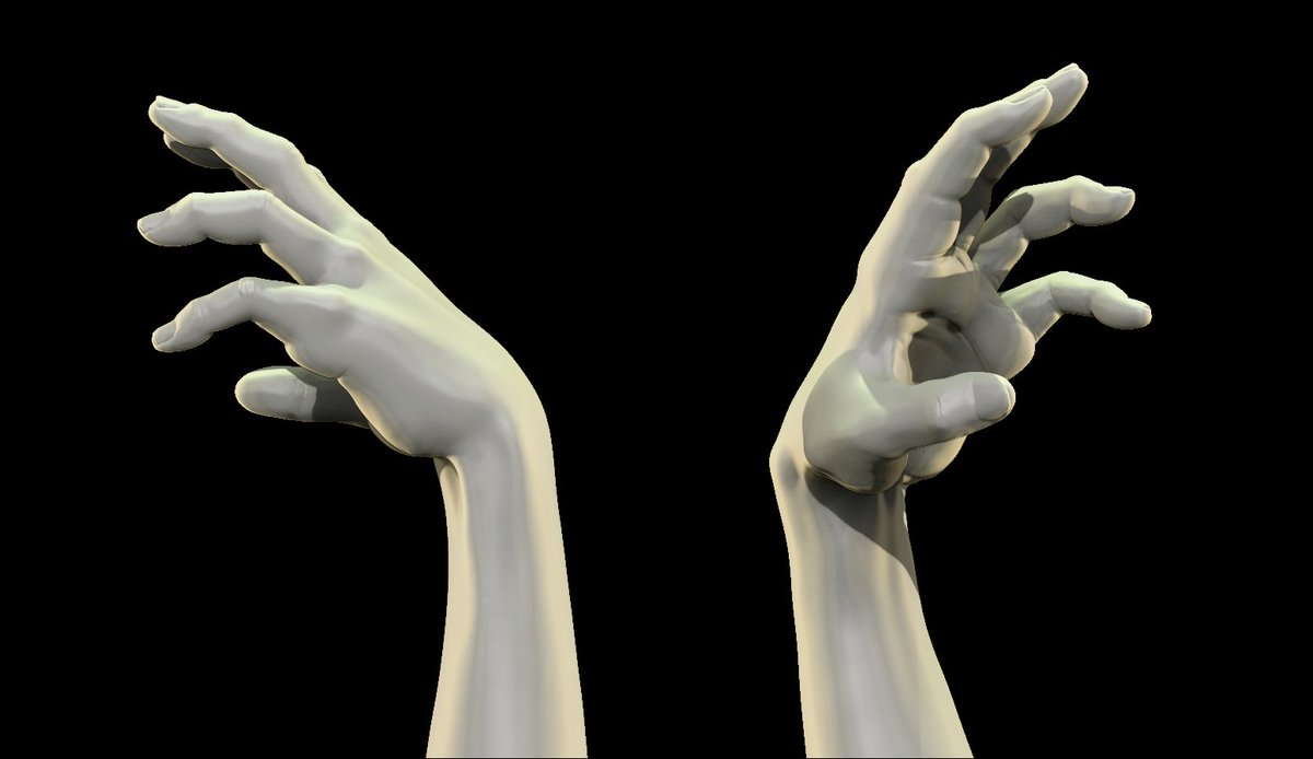 #Sculptember2020 #day15
Hand Anatomy Study

Gotta keep on studying! :)

#Study #3danatomy #3dart #3dmodeling #3dsculpting #zbrush #photoshop #anatomystudy #hand