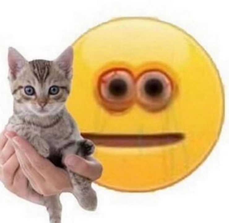 Thread of my cursed cat images to put a smile on your face