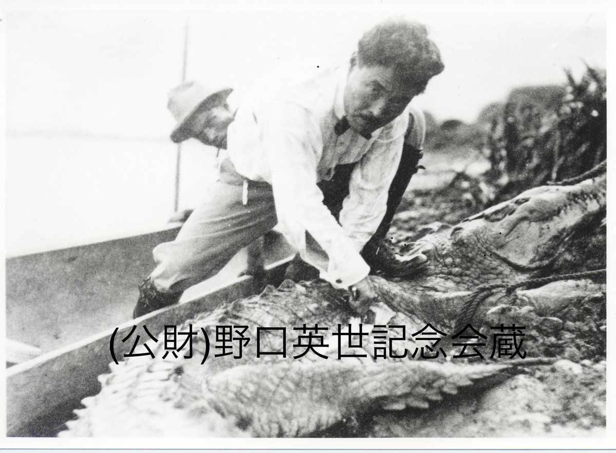 野口英世記念館 公式 Hideyo Ngouchi Memorial Museum A Twitter 今日はキュートの日 野口英世 もキュートな人物でした 記念館では研究業績だけでなく 人間味溢れる英世の姿もご紹介 知れば知る程会ってみたくなる 野口英世 野口英世記念館 記念日 博物館 野口英世記念館 公式 Hideyo Ngouchi Memorial Museum A Twitter 今日はキュートの日 野口英世 もキュートな人物でした 記念館では研究業績だけでなく 人間味溢れる英世の姿もご紹介 知れば知る程会ってみたくなる 野口英世 野口英世記念館 記念日 博物館