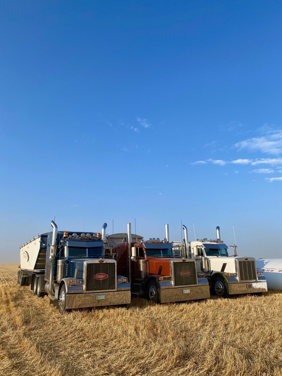 b_walde's tweet photo. Petes are taking a break, wheat’s getting bagged #harvest2020 #rosanafarms #CommittedAg https://t.co/vX9SpgvN1j