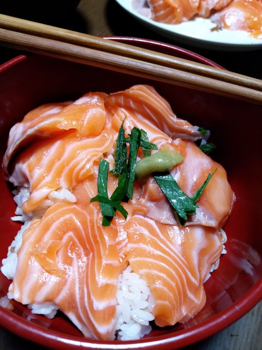 サーモンどーん 