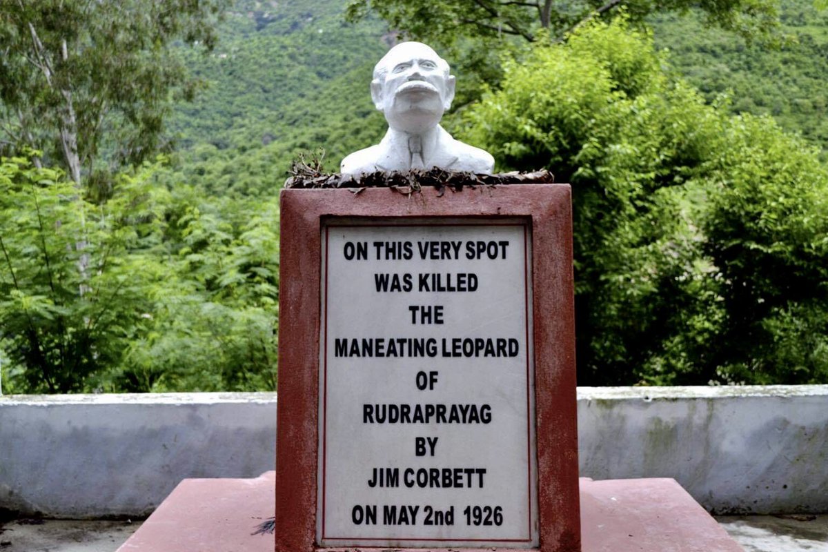  #IndiAvesThe stuff of legend. Discovered on the way to a birding trip in Chopta.The Leopard of Rudraprayag was a man-eater, notorious for having killed over 125 people.(1/5)