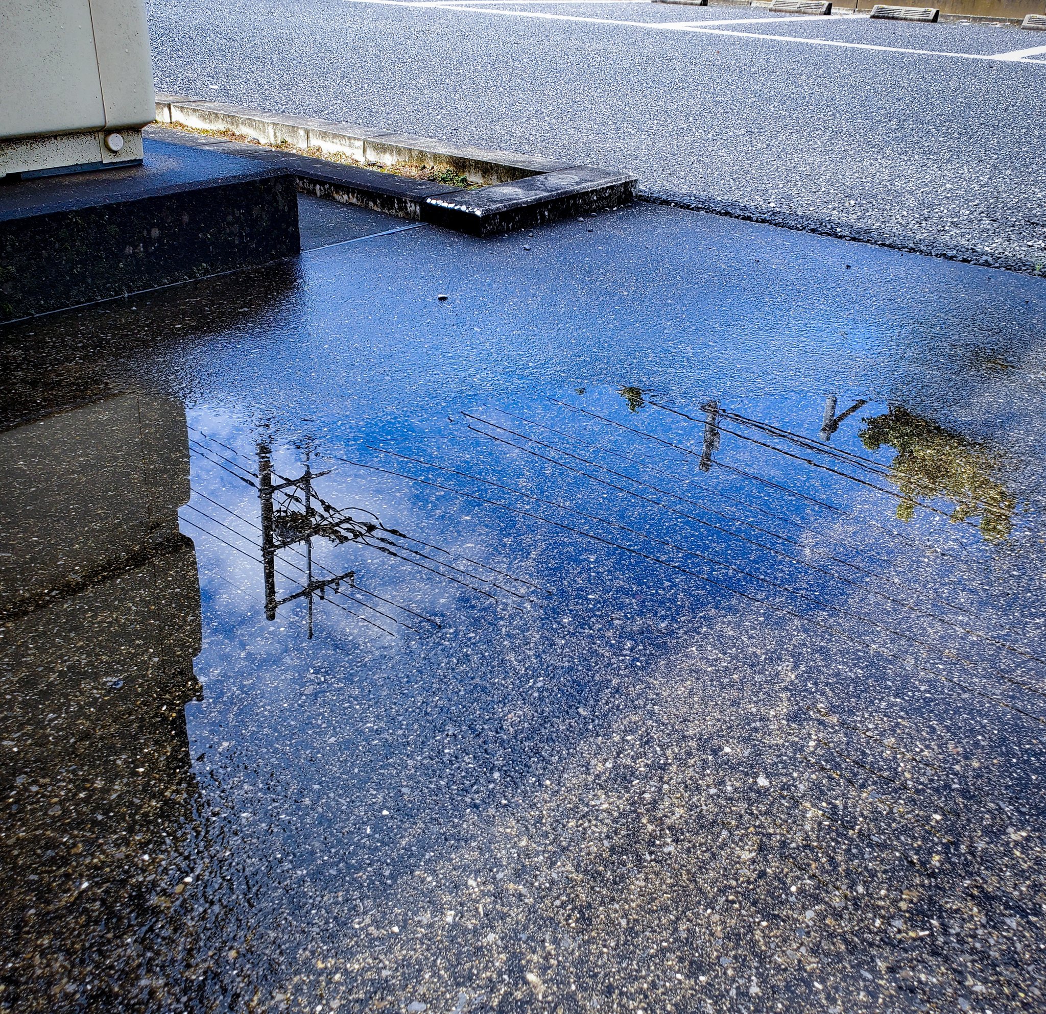 水たまりの空 Twitter Search Twitter