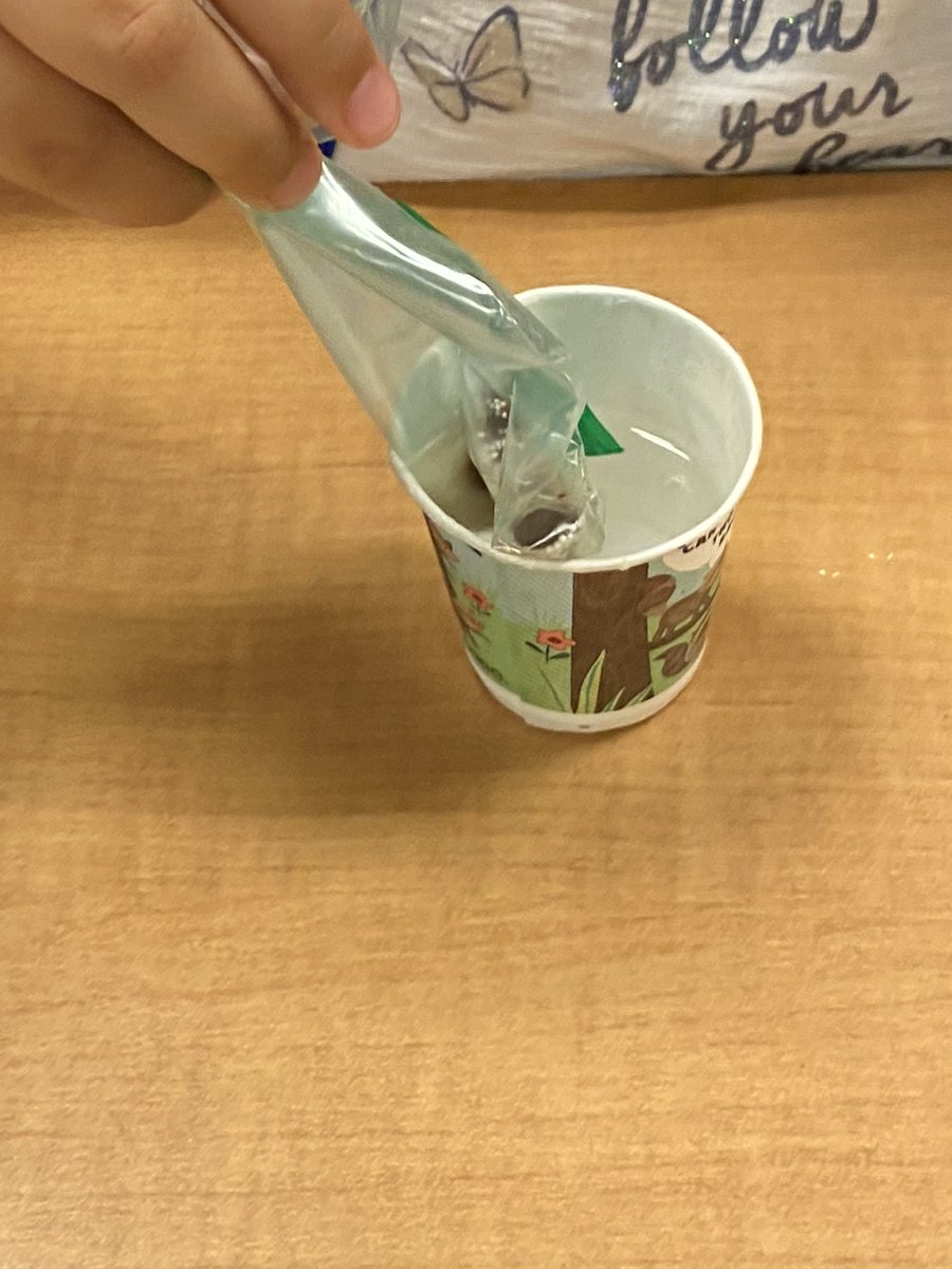 MsJRRISD's tweet photo. Which candy is the best to send to Camp Way too Hot? Scientists observed physical properties and compared different candies with this @MysterySci experiment! 🍫 #ScienceRulez #MsJs2nd https://t.co/zUltqrdIfB