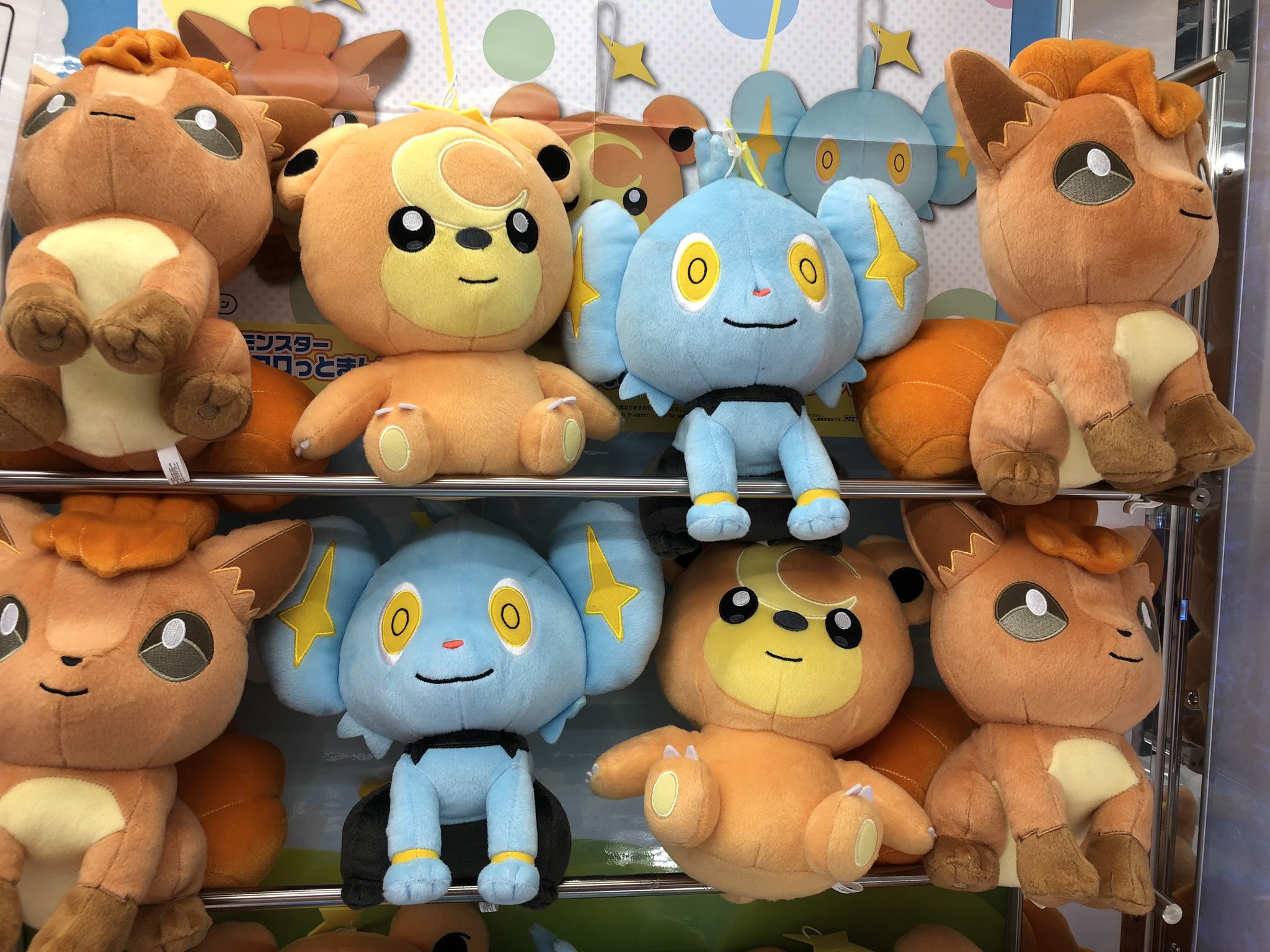 Twitter এ タイトーステーション 佐野新都市店 新景品のご案内です ポケットモンスター でっかいコロっとまんまるぬいぐるみ つぶらなひとみ ロコン ヒメグマ コリンク 入荷しました ポケットモンスター ポケモン ロコン ヒメグマ