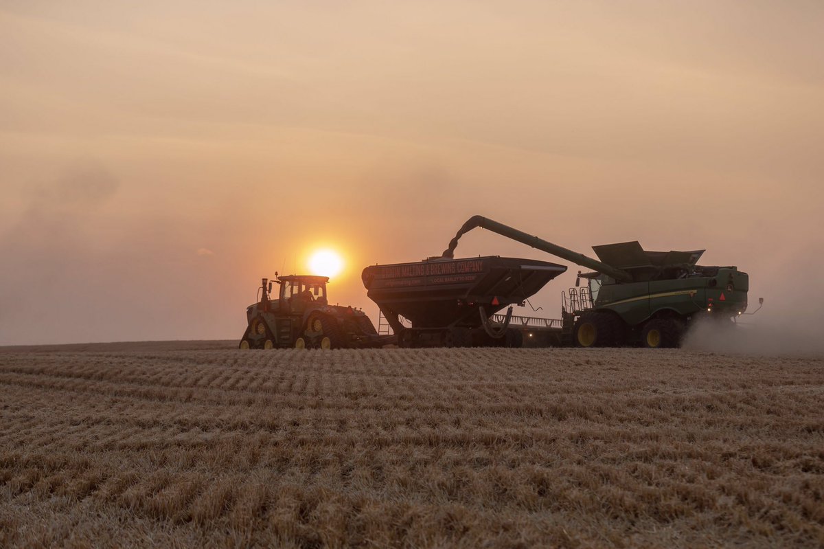 Another great night of chasing combines and sunsets with some of my favorite farmers. @originmalting <a href="/Sterling_Hilton/">Sterling Hilton</a> <a href="/farmdane/">Dane Hilton</a> @CervusEquipment <a href="/HiltonVentures/">Spencer</a> 

#westcdnag #harvest2020