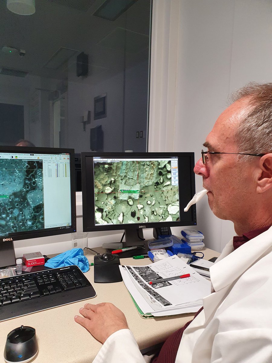 CockerKate's tweet image. Focusing on the data at Otago