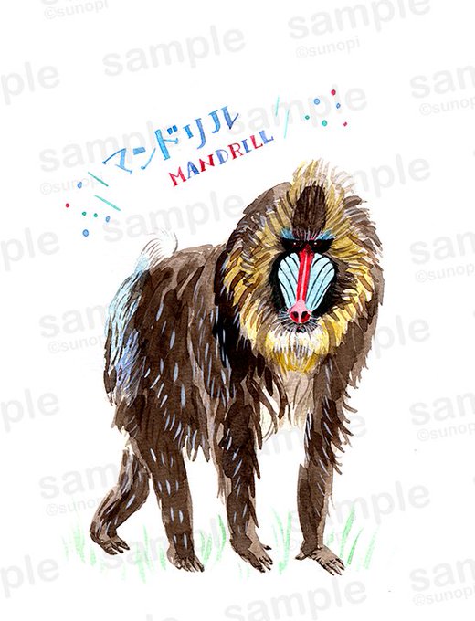 Twoucan マンドリル の注目ツイート イラスト マンガ コスプレ モデル