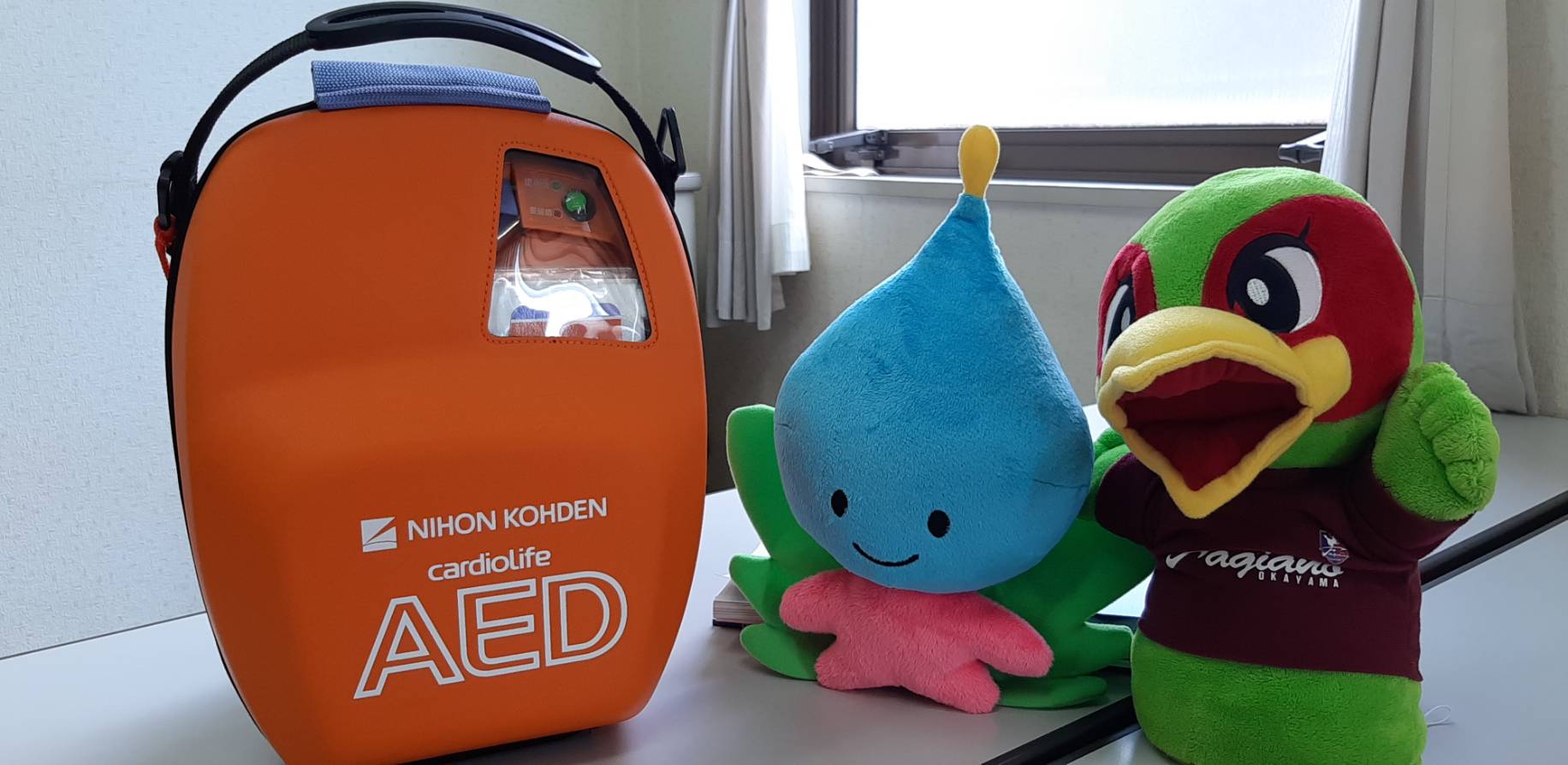 半額】 保存版。ファジアーノ岡山 鉄道◇③ イコカ 鉄道 - www.ss-d.com.do