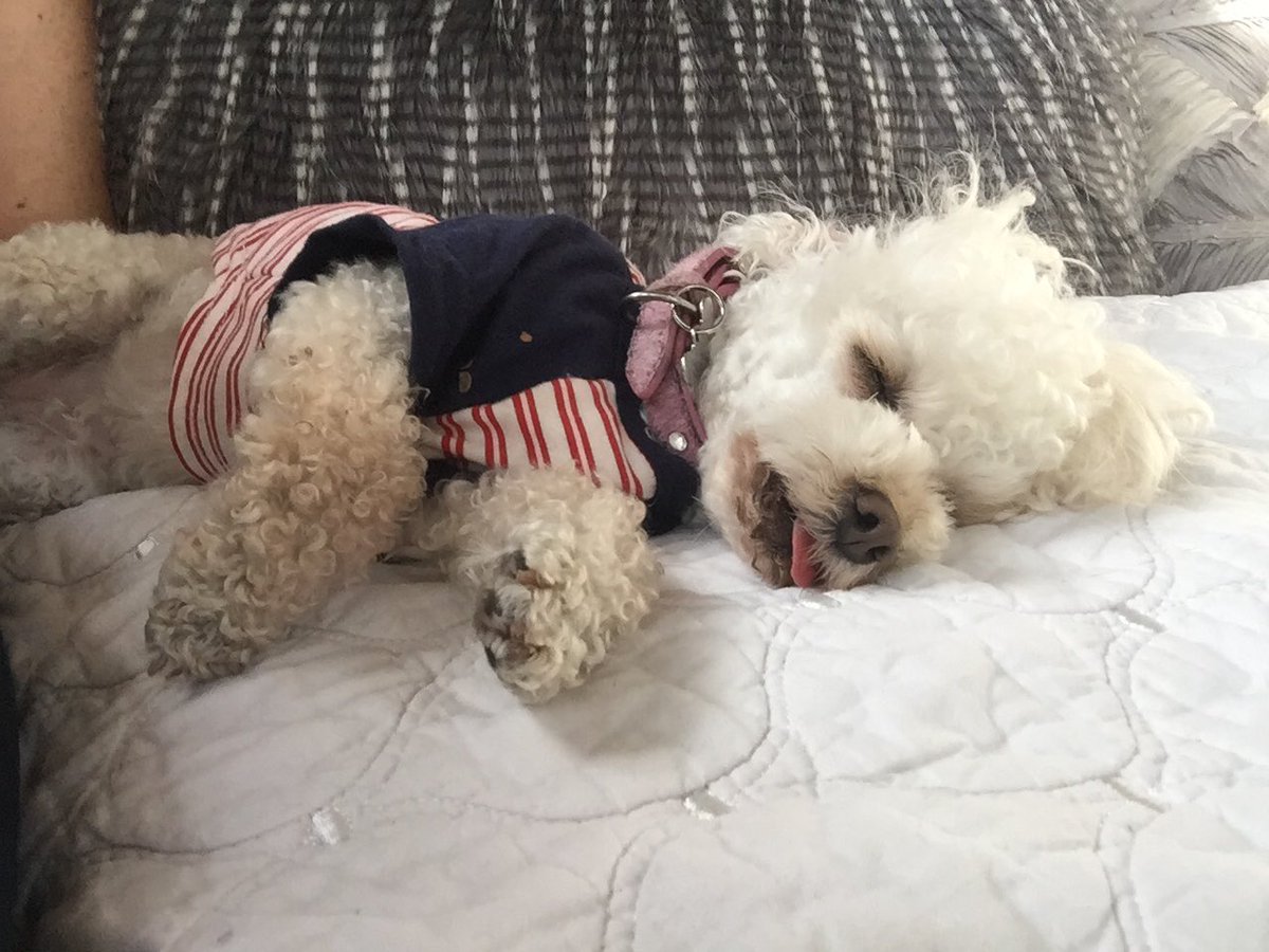 MollyFerguson's tweet photo. @theyearofelan https://t.co/Fg1sO64DCq