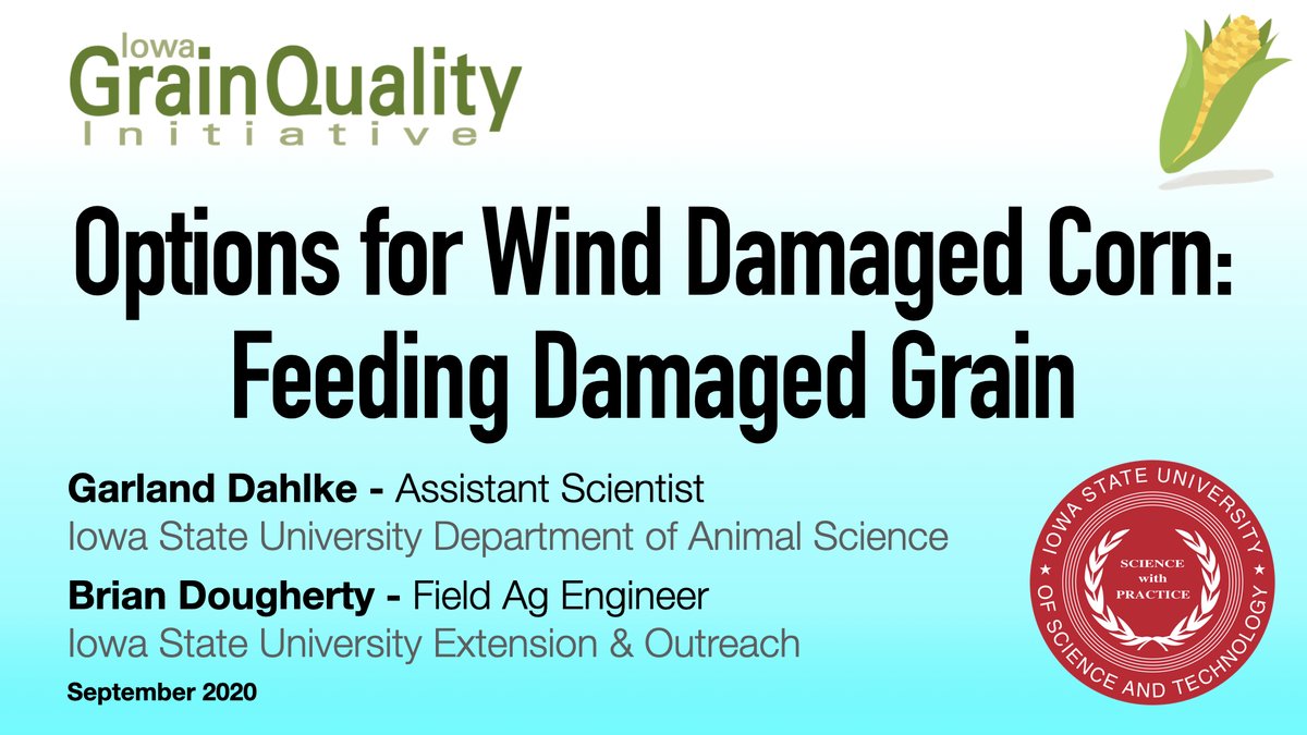 Iowa Grain Quality tweet media