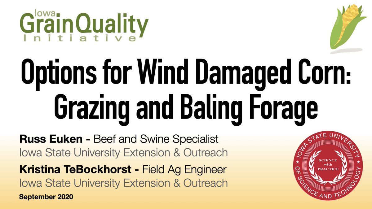 Iowa Grain Quality tweet media