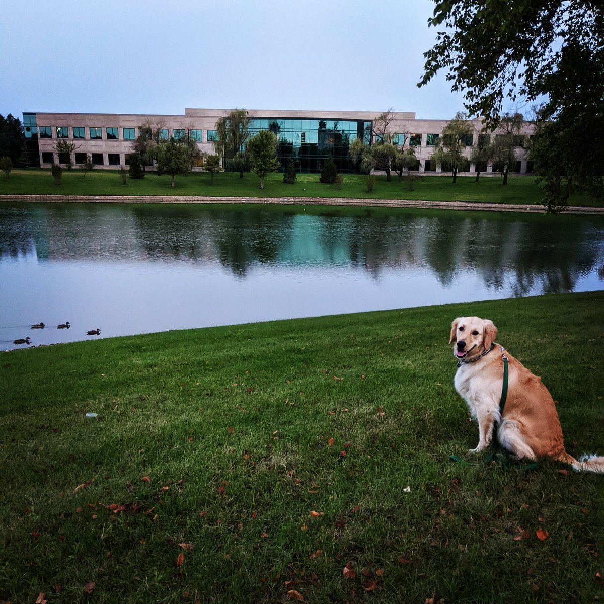 Taking a much needed break from unpacking and editing Episode 13 with the #ebtbmascot. Don't worry- it's posted and ready for a listen!