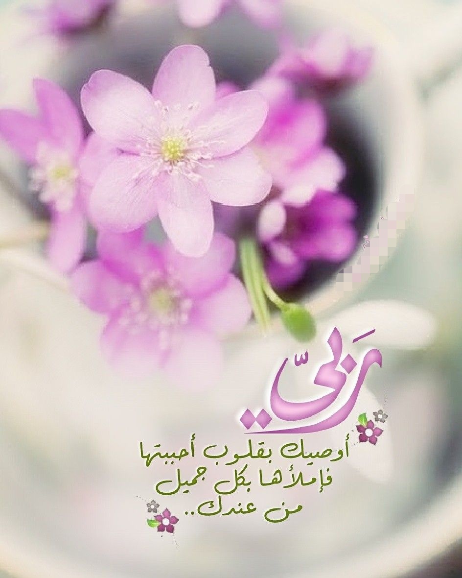 EiFwMc7WsAEAlCF