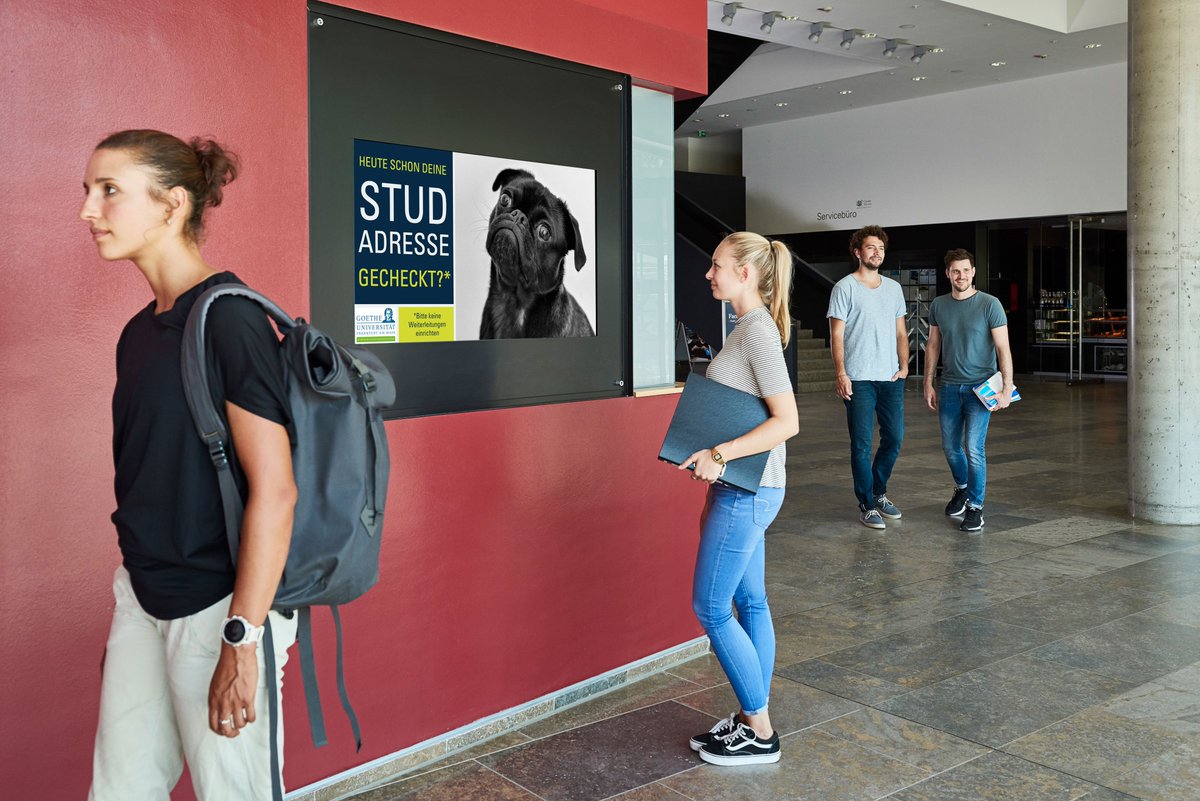SpinetiX's tweet photo. https://t.co/2M2O2vgaoI See how one of Germany’s largest educational institutions uses SpinetiX #digitalsignage to diffuse communication to more than 40,000 students across five campuses. #GoetheUniversityFrankfurt #education https://t.co/yPsdq7FM0X