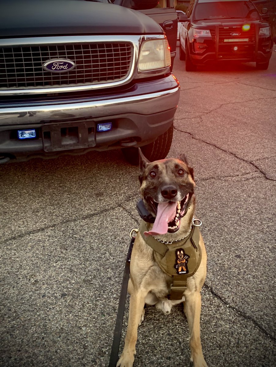 TpdLoki's tweet image. I love my job!!!