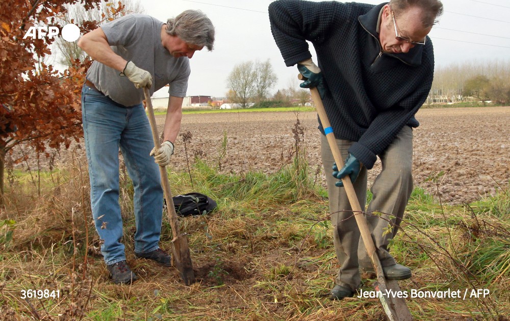afpfr's tweet image. "Au-delà des régénérations naturelles, il nous faudra planter 70 millions d'arbres par an pendant 30 ans, soit un arbre par habitant", estime un rapport destiné à proposer des solutions au gouvernement pour protéger la forêt française des affres du réchauffement climatique #AFP