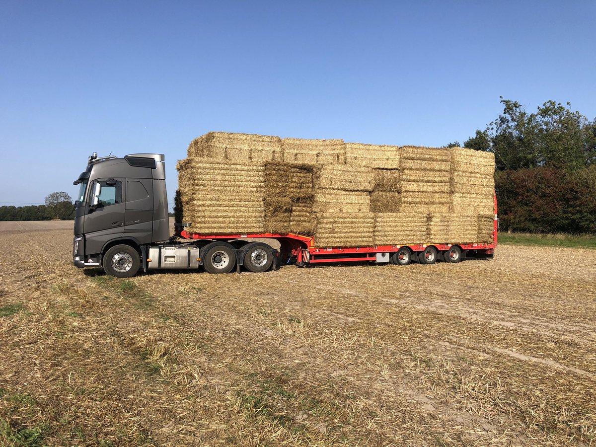 mdpencil1's tweet photo. Another load off down the mendips on the @MACTrailers #morethanjustalowloader https://t.co/dfBLgmumTe