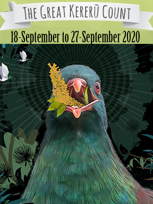 iNaturalist NZ — Mātaki Taiao tweet media
