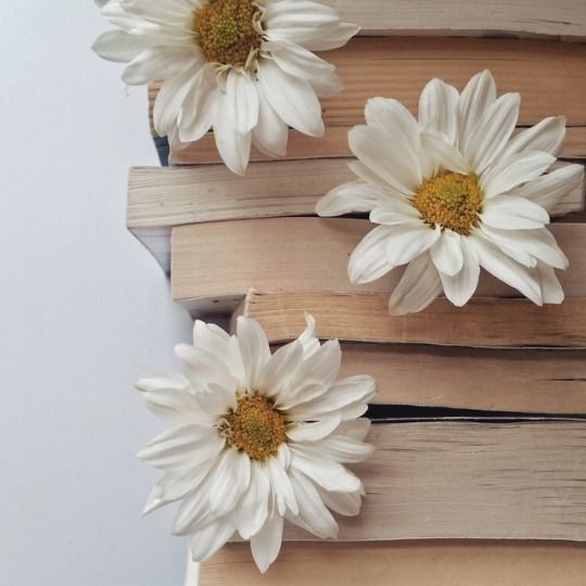 EyselReese's tweet photo. --, 🐰🌼 𝗜 𝗳𝗲𝗲𝗹 𝘀𝗵𝘆 𝗯𝗲𝗰𝗮𝘂𝘀𝗲 𝗜'𝘃𝗲 𝗳𝗮𝗹𝗹𝗲𝗻 𝗶𝗻 𝗹𝗼𝘃𝗲.

🎨 -, 𝗘𝘆𝘀𝗲𝗹 𝗥𝗲𝗲𝘀𝗲 
🖌️ -, 𝟮𝟲𝘆. | 𝗣𝗲𝗿𝗳𝘂𝗺𝗲 𝗿𝗲𝘀𝗲𝗮𝗿𝗰𝗵𝗲𝗿

🌼 𝗿𝗼𝗹𝗲 | 𝗼𝗰 | 𝗱𝗺 | 𝗮𝗹𝗹 𝗼𝗸
🌷 𝗕𝗟|𝗡𝗟 | 𝗙𝗭 https://t.co/JK9RXzctpf